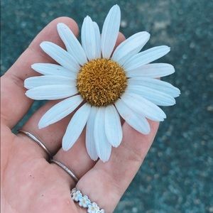 Meet your Posher, Sophia